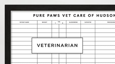 Vet / Dog Trainer