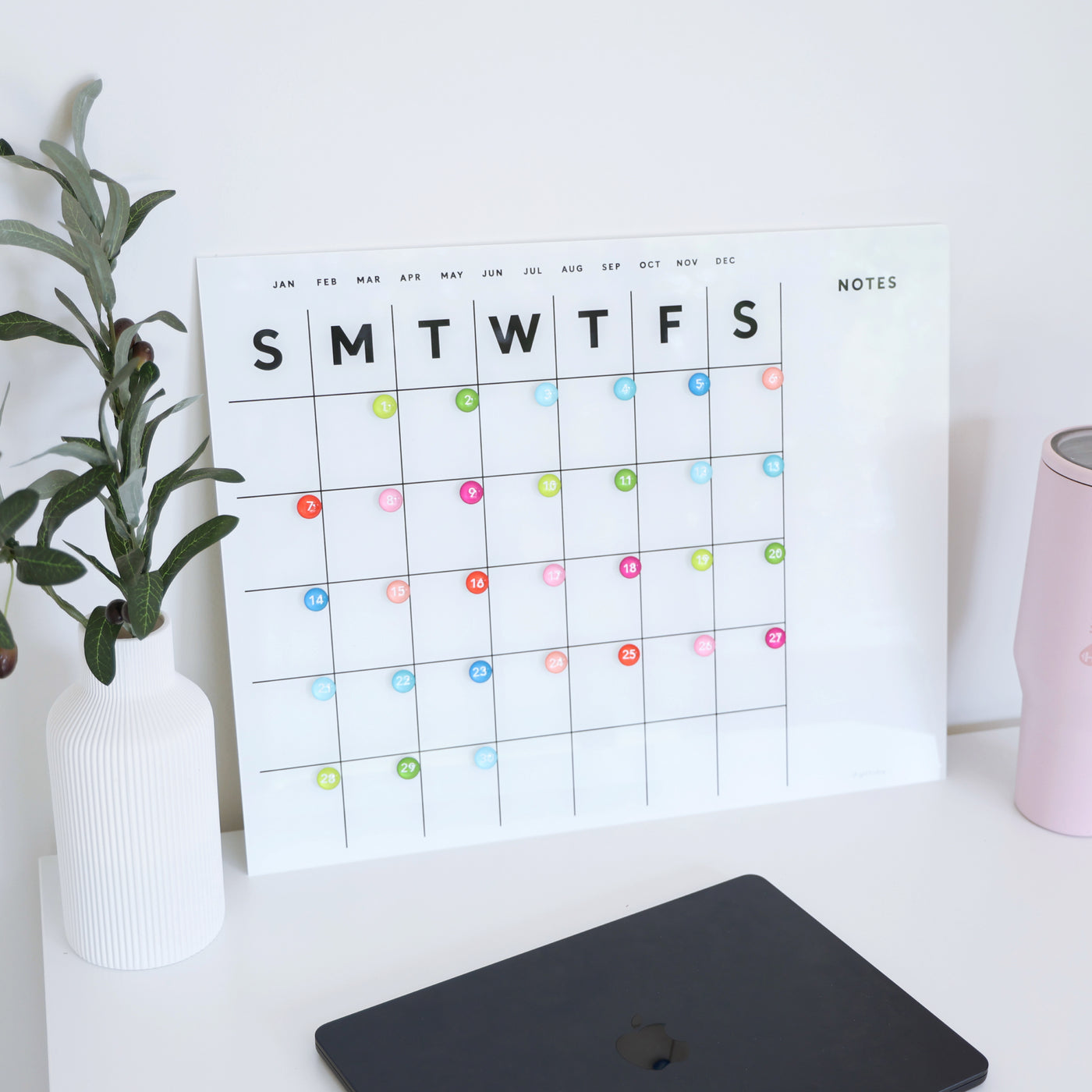 The desk showcases a Girl Friday Shop White Acrylic Monthly Calendar with weekdays at the top and colored circular markers. A potted plant sits on the left next to a closed laptop, while a pink cylinder is mounted on the right using command strips.