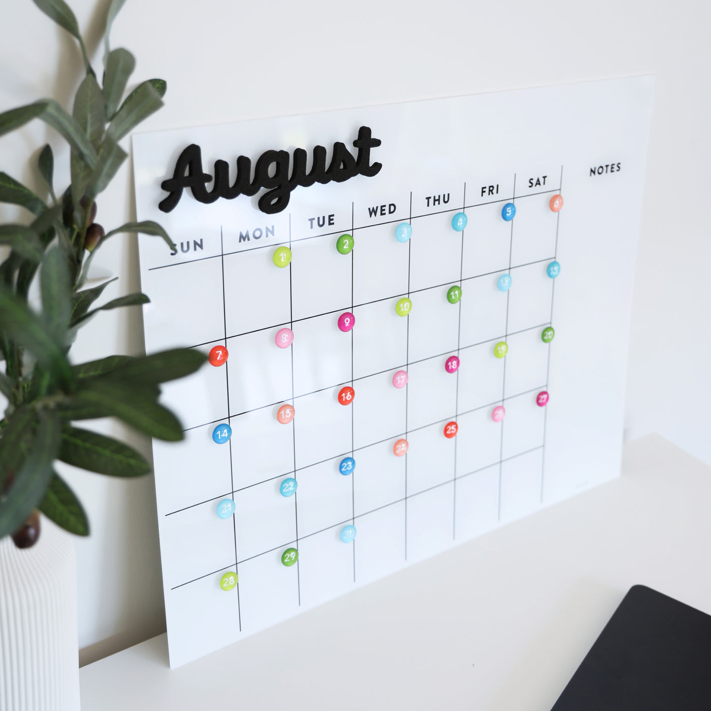 The Girl Friday Shops White Acrylic Dry Erase Monthly Calendar elegantly displays Sunday to Saturday columns and features colorful magnets for day marking. August stands out at the top, with a lush plant on the left side, all secured firmly using command strips.
