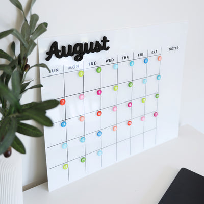 The Girl Friday Shops White Acrylic Dry Erase Monthly Calendar elegantly displays Sunday to Saturday columns and features colorful magnets for day marking. August stands out at the top, with a lush plant on the left side, all secured firmly using command strips.
