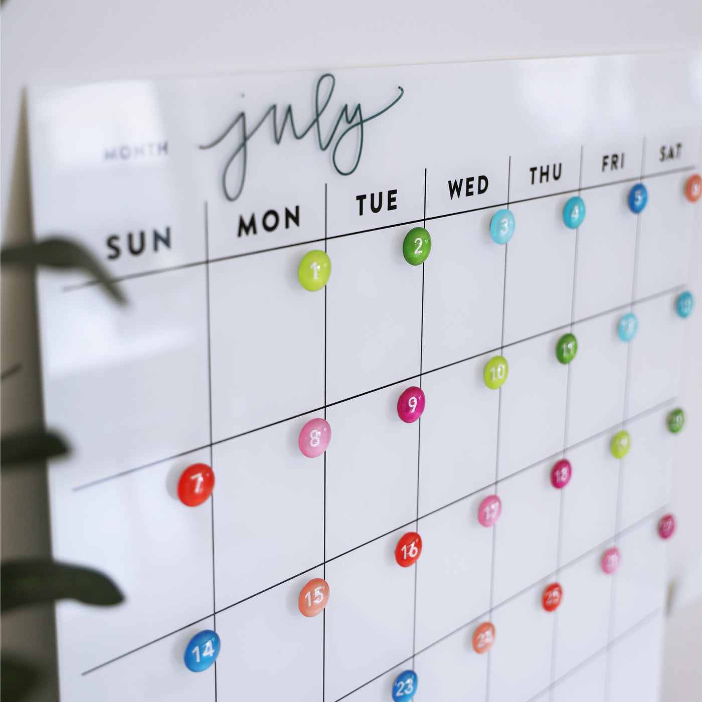 The Girl Friday Shops White Acrylic Monthly Calendar for July displays Sunday to Saturday. Colorful magnetic markers add vibrancy, with a green plant on the left. Suitable for non-magnetic fridges, it offers an easy-to-use dry erase surface for seamless planning.