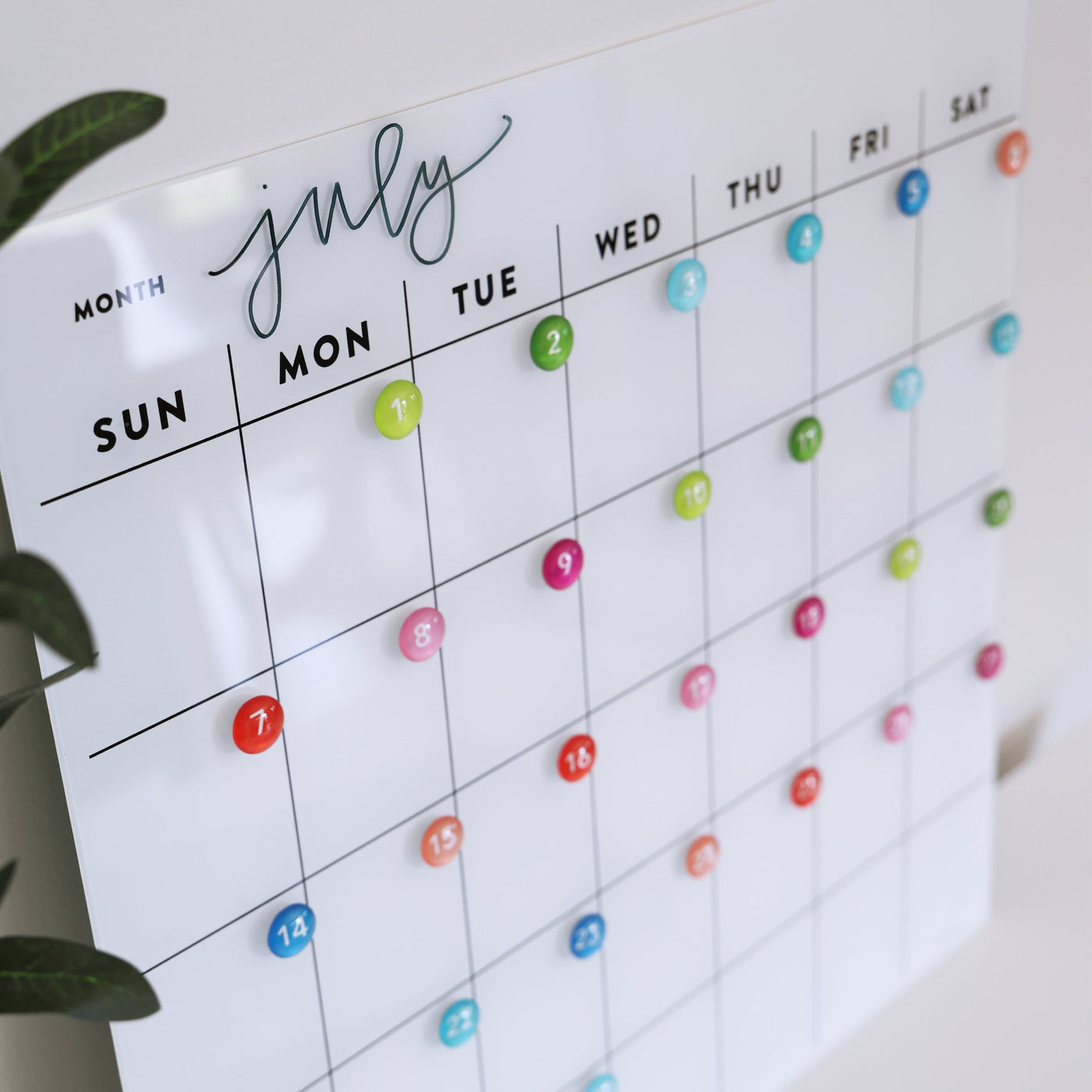 The White Acrylic Monthly Calendar by Girl Friday Shop hangs on the wall, offering a dry erase surface. Colorful blue, pink, and green pins mark each day. A leafy green plant adds a refreshing touch to your modern scheduling tool.