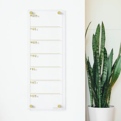 The Acrylic Calendar - weekly with gold text by Girl Friday Shop is mounted on the wall, stylishly paired with a tall green snake plant. It displays weekdays and can be updated effortlessly with wet-erase markers for easy planning.