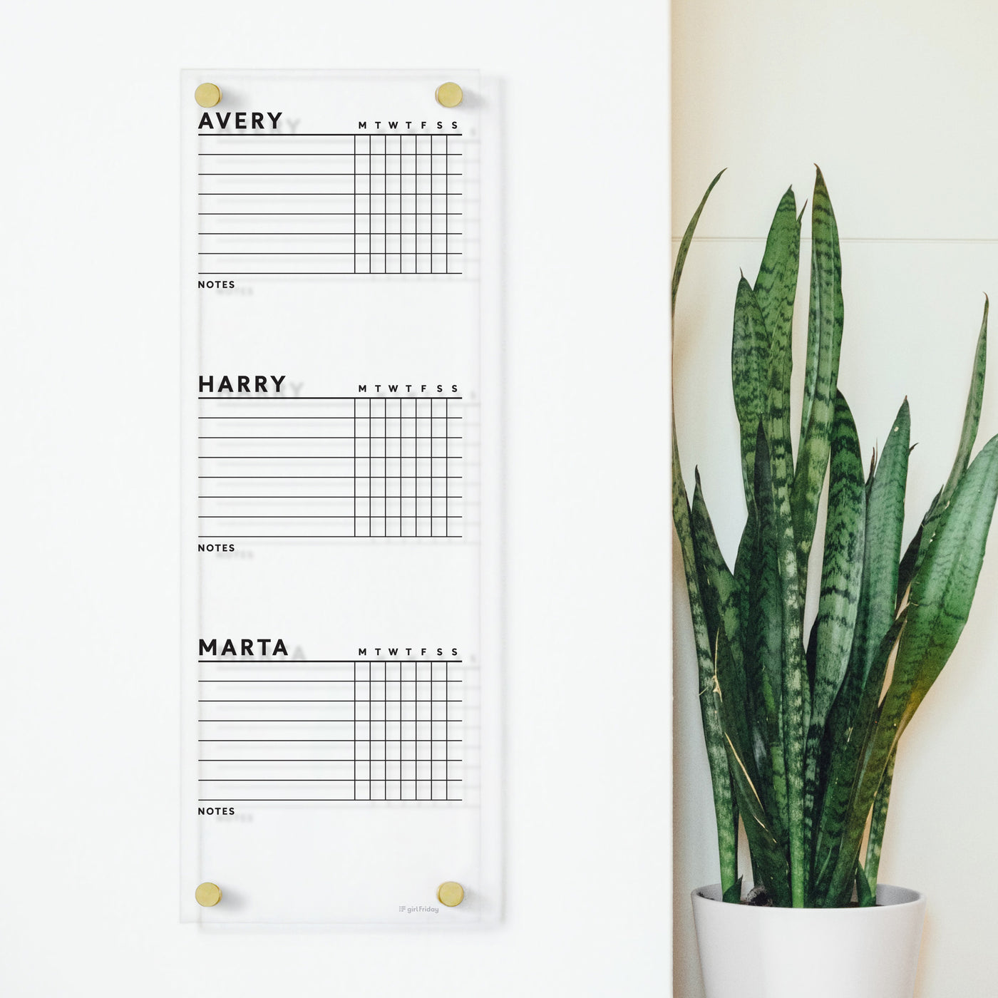 A white wall displays a vertical Clear Acrylic Customizable Chore Chart by Girl Friday, featuring sections for Avery, Harry, and Marta with day columns and note spaces, secured by gold knobs. A tall snake plant stands nearby.