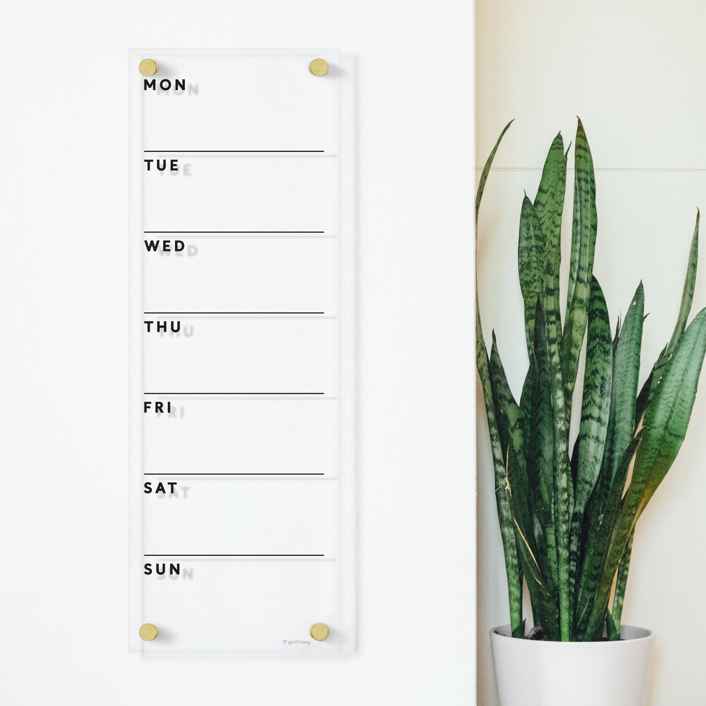 The Clear Acrylic Weekly Wall Calendar | Vertical by Girl Friday Shop, designed with gold accents and crafted from high-quality materials, complements the tall potted snake plants long green leaves. Ideal for use with wet-erase markers, it stylishly displays the days of the week.
