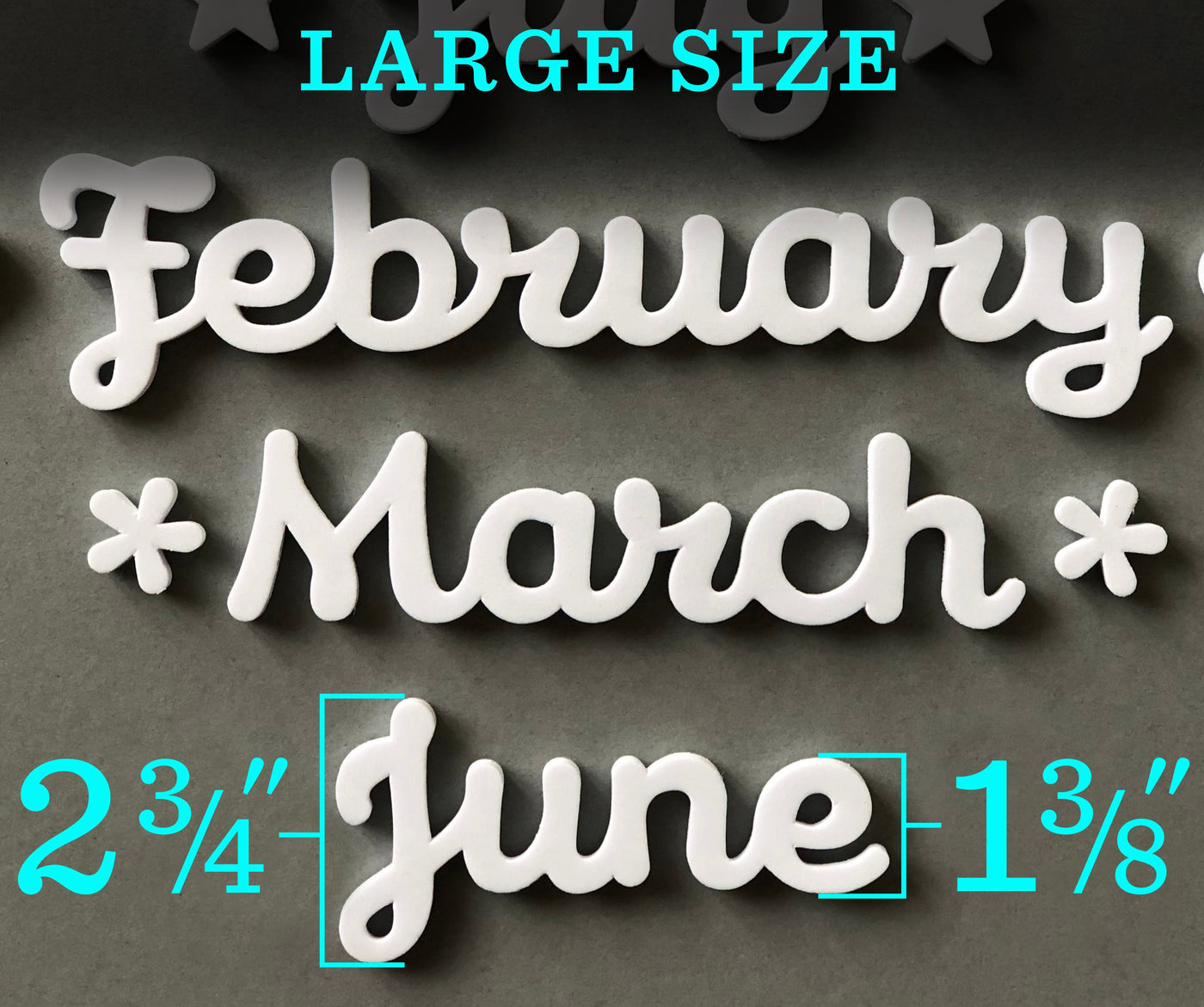 Decorative white font spells February, March, and June on a gray background. Above, it reads LARGE SIZE. Below the word “June,” measurements are listed as 2¾ x 1⅜ in blue, detailing the size of these magnetic month words by Girl Friday Shop.